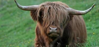 Take a short drive to Kiel or explore the beautiful Tiergehege Tannenberg nature reserve, perfect for hiking.