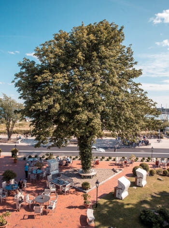 Enjoy life and good weather on the hotel's large terrace overlooking the sea.