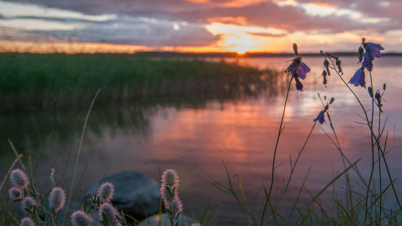 Utforska Vänerns stränder med möjligheter till båtliv, fiske och bad.
