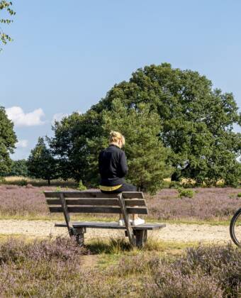 Det finns många cykelvägar i området, och den vackra landskapet runt floden Elbe ligger bara en halvtimme bort.