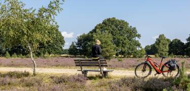 Besøk det majestetiske vanntårnet i den gamle bydelen i den sjarmerende gamle middelalderbyen Lüneburg.