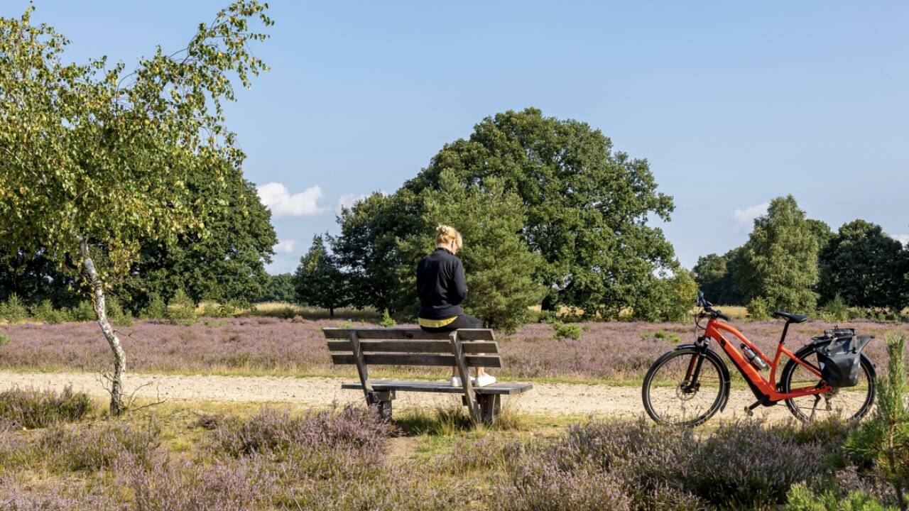 Es gibt viele Fahrradwege in diesem Gebiet. Die schöne Landschaft um die Elbe herum ist nur eine halbe Stunde entfernt.