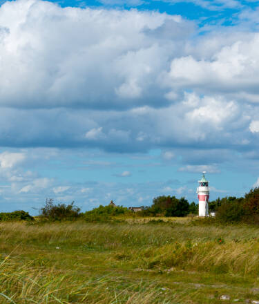 A short ferry ride takes you to Aarø for coastal walks, local beer, and a visit to the island’s vineyard.