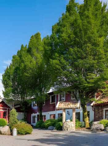 Kronen Gaard Hotell