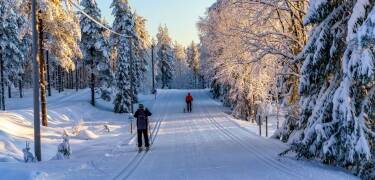 Im Winter gibt es zum Beispiel gute Skimöglichkeiten in der schönen Umgebung des Sees und viele Langlaufloipen.