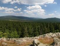Harzen är ett populärt resmål på grund av den vackra naturen med skogar och kuperat landskap.