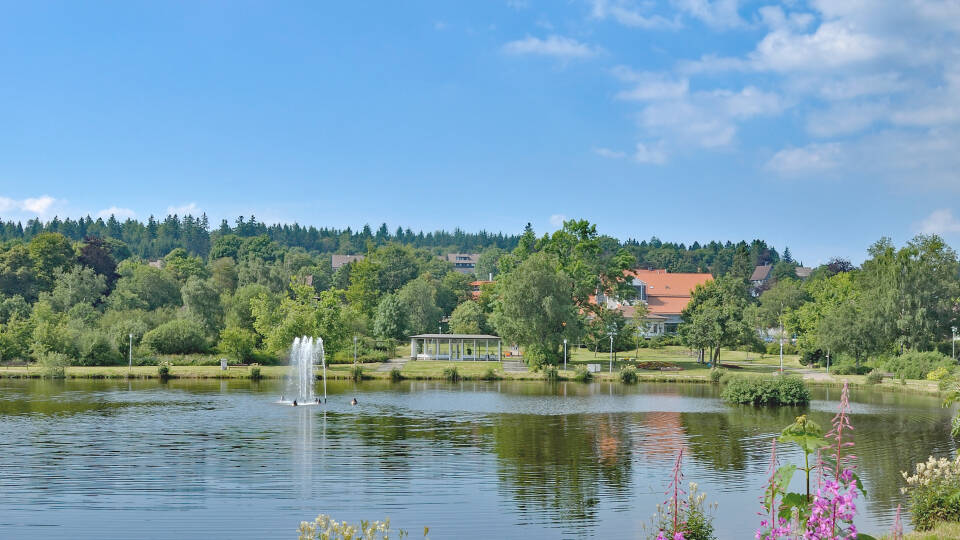 This 4-star hotel is beautifully located in the middle of the idyllic Kranichsee area, close to the UNESCO city of Goslar.