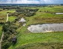 Hier finden Sie einzigartige Naturgebiete wie grüne Feuchtgebiete, dichte Wälder, die Holtemmen-Heide oder die Dünen am Strand von Danzigmand.