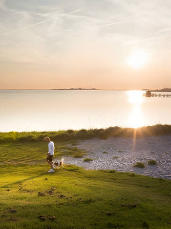 Short distance to attractive beaches and Denmark's longest bathing bridge.