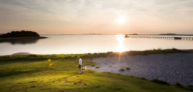 Short distance to attractive beaches and Denmark's longest bathing bridge.