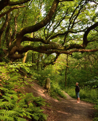 Hotellet er omgivet af herlig natur - nyd f.eks. nogle helt fantastiske vandreture i Fosdalen.