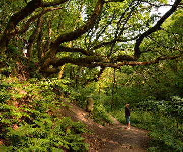 Hotellet er omgivet af herlig natur - nyd f.eks. nogle helt fantastiske vandreture i Fosdalen.