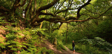 Das Hotel ist von wunderschöner Natur umgeben - genießen Sie zum Beispiel fantastische Spaziergänge im Fos-Tal.