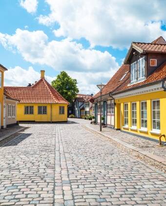 City Hotel Nattergalen