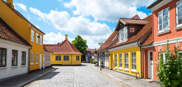 City Hotel Nattergalen