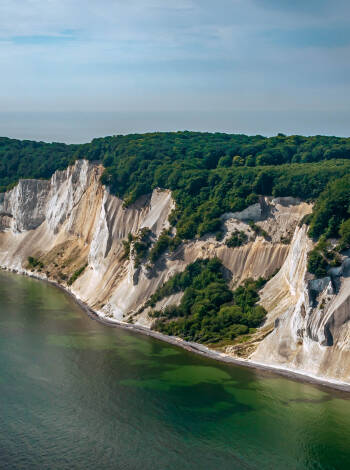 Impressive nature experiences at Møns Klint. Explore the area with your family.