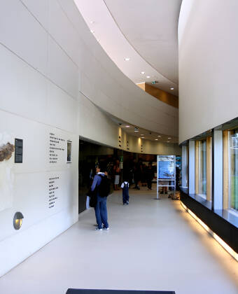 Lær mer om Møns Klint på Geocenter Møns Klint.