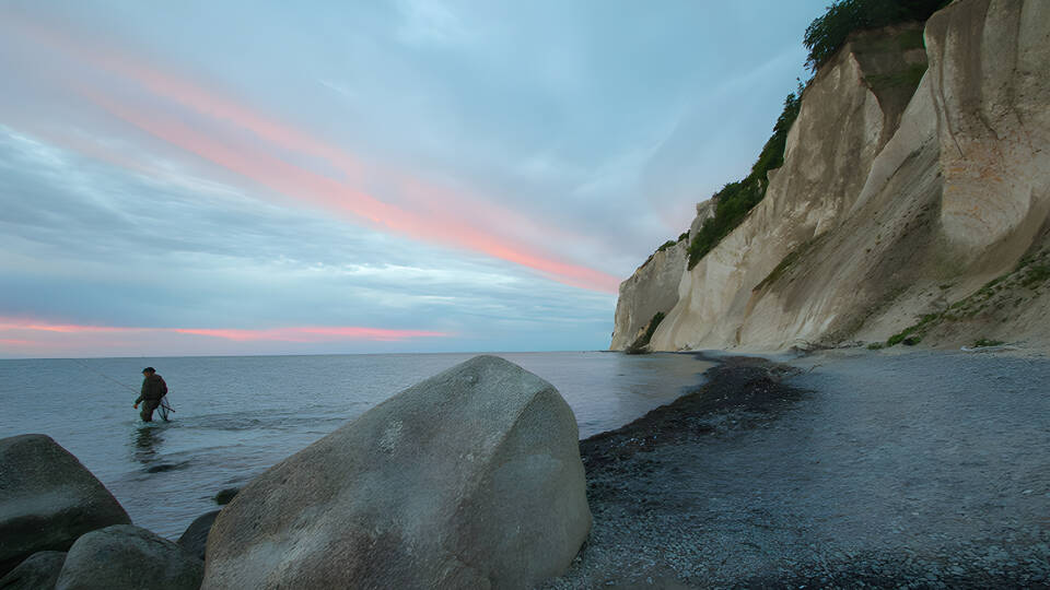 Impressive nature experiences at Møns Klint. Explore the area with your family.