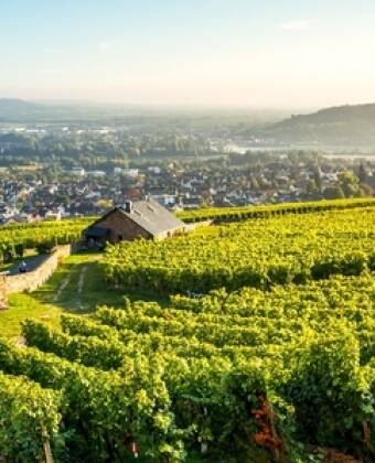 Hotel zum Grünen Kranz