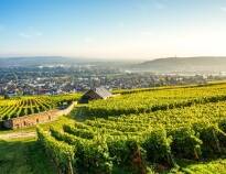 Nyd smukke vandreture og en blændende udsigt over Rhin-floddalen og store dele af det UNESCO-listede Rheingau-distrikt.