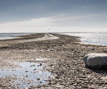 Opplev Vadehavets vakre natur og dyre- og fugleliv, som har brakt området på UNESCOs verdensarvliste. På samme måte bør Tønder og Møgeltønder også utforskes på grunn av deres historiske hus og danske idyll