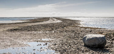 Entdecken Sie die Schönheiten des Wattenmeeres