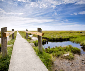 Besøg Schackenborg Slot, eller udforsk marskområderne og biodiversiteten i den UNESCO-listede Nationalpark Vadehavet.