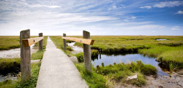 Besøk Schackenborg slott eller utforsk marsklandet og det biologiske mangfoldet i den UNESCO-listede nasjonalparken Vadehavet.