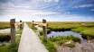 Visit Schackenborg Castle or explore the UNESCO-listed Wadden Sea National Park's marshlands and biodiversity.