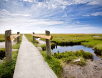 Visit Schackenborg Castle or explore the UNESCO-listed Wadden Sea National Park's marshlands and biodiversity.