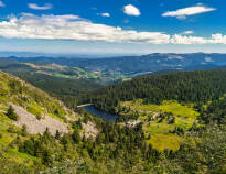 Enjoy the surroundings of the Vosges Nature Park, which offers ideal opportunities for hiking and cycling.