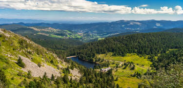 Nyd omgivelserne i Vosges naturpark, som giver jer ideelle muligheder for vandre- og cykelture.