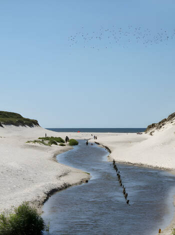 Verbringen Sie einen Tag an der Nordsee, wo Sie lange Spaziergänge am Wasser entlang machen können.
