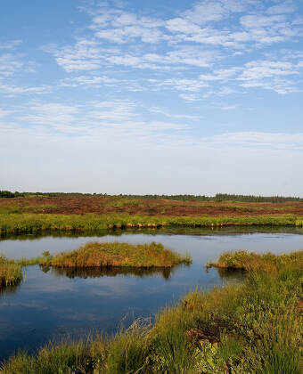 LĂžnborg Hede and Borris SĂžnderland are good areas if you need a walk in the Danish countryside.