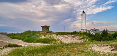 Du har nära till Vadehavets vackra natur och flera kulturupplevelser.