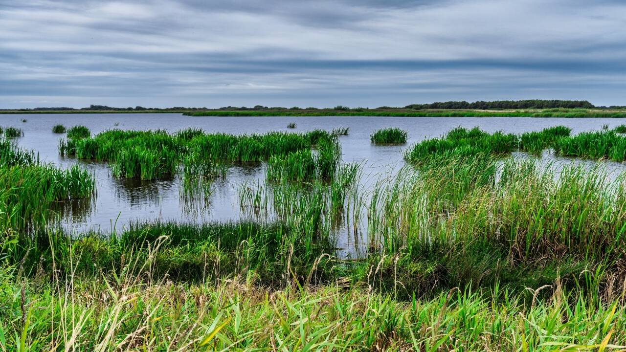 hotel_image_thumbnail