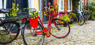 The hotel is perfectly located for a cosy Danish holiday in the idyllic, cobbled town of Mariager.