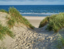 Go on an excursion to the North Sea. Vejers Beach is only 1 hour's drive away.