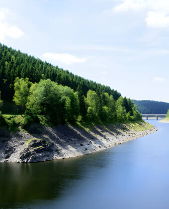 Benyt lejligheden til at udforske den betagende natur, som Harzen Nationalpark har at byde på.