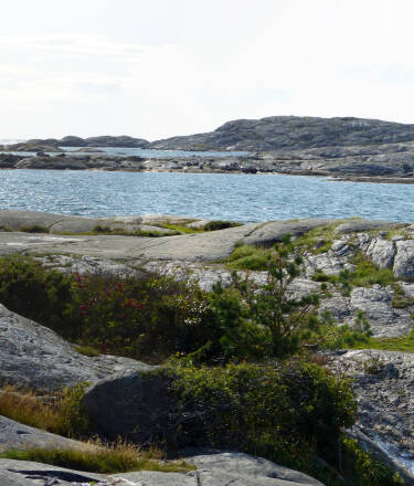 Nehmen Sie die Fähre nach Kosterøerne und besuchen Sie den Nationalpark.