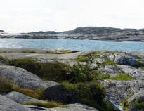 Visit the National Park on the Koster Islands.