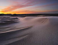 Gå en flott tur i de unike omgivelsene ved Nordeuropas største vandrende sanddyne, Råbjerg Mile!