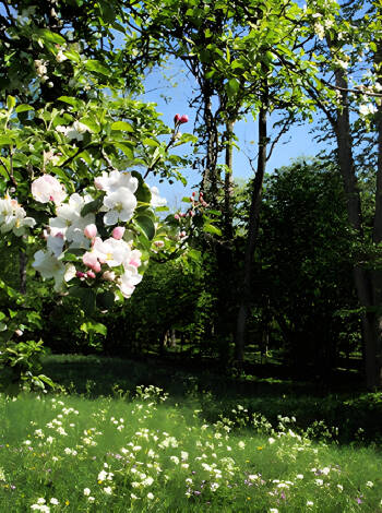 Einer der ältesten Nationalparks Europas mit idyllischen Blumenbeeten, umgeben von wunderschönen Wäldern.