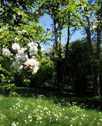 Einer der ältesten Nationalparks Europas mit idyllischen Blumenbeeten, umgeben von wunderschönen Wäldern.