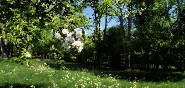Einer der ältesten Nationalparks Europas mit idyllischen Blumenbeeten, umgeben von wunderschönen Wäldern.