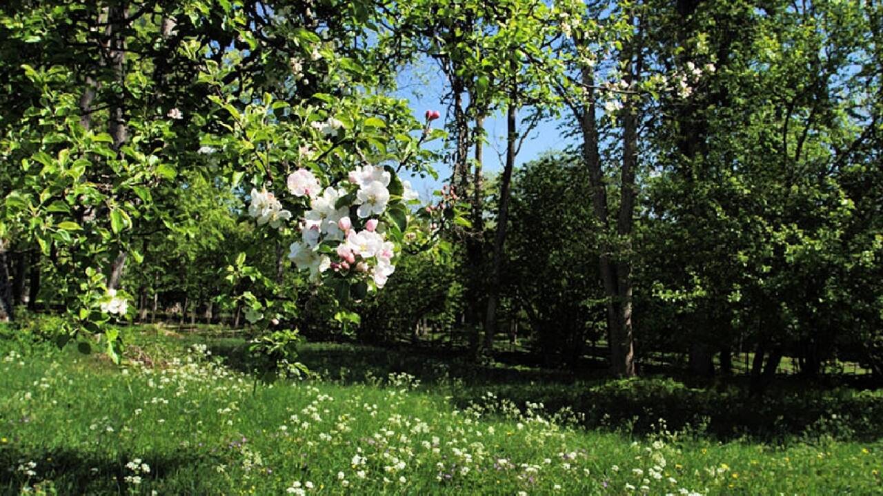 En af Europas ældste nationalparker med idylliske blomsterenge, som er omkranset af flotte skove.
