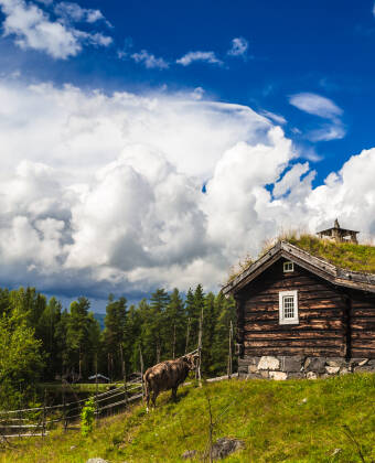 Maihaugen ist das größte Freiluftmuseum Norwegens. Erleben Sie die vielen Gebäude aus vergangenen Zeiten.