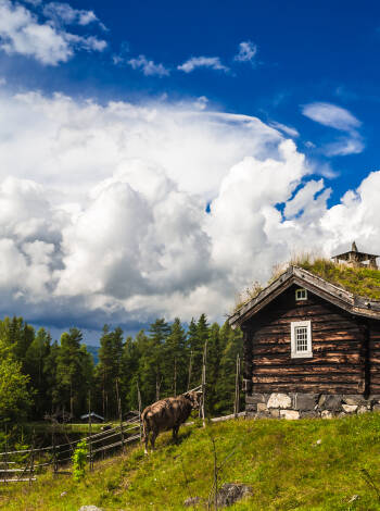 Besök Maihaugen, Norges största friluftmuseum. Här finns vackra hus från en annan tidsepok.