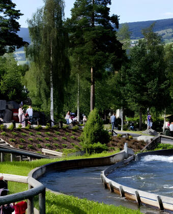 Der Hunderfossen Familiepark liegt nahe dem Hotel und bietet viel Spass für die ganze Familie.