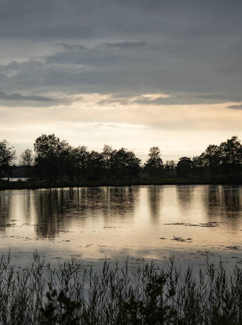 Upplev Smålands idylliska natur med vackra skogar, historiska platser och underbara sjöar.
